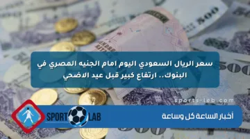 سعر الريال السعودي اليوم أمام الجنيه المصري في البنوك.. ارتفاع كبير قبل عيد الأضحى